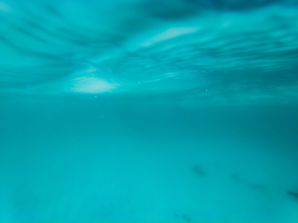 Underwater in Maho Bay, St John - Photography by Som Prasad